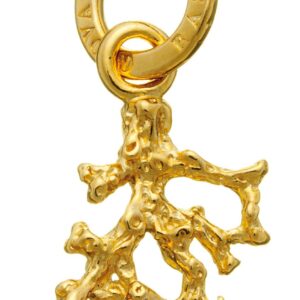 Charm Giovanni Raspini Donna in Argento 08977