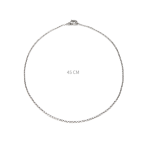 Collana Giovanni Raspini Girocollo base in Argento 07564