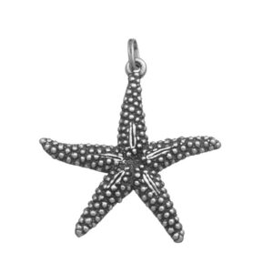 Charm Giovanni Raspini Charms in Argento 07351