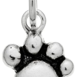 Charm Giovanni Raspini Charms in Argento 09848