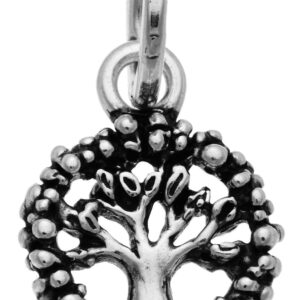 Charm Giovanni Raspini Donna Charms in Argento 10597