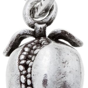 Charm Giovanni Raspini Charms in Argento 10021