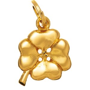 Charm Giovanni Raspini Donna in Argento 08581