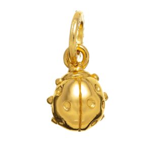 Charm Giovanni Raspini Charms in Argento 08587