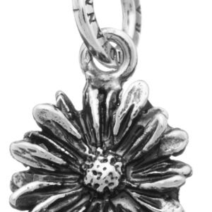 Charm Giovanni Raspini Charms in Argento 06559