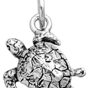 Charm Giovanni Raspini Charms in Argento 11458