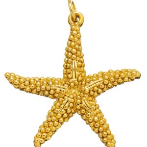Charm Giovanni Raspini Donna in Argento 08563