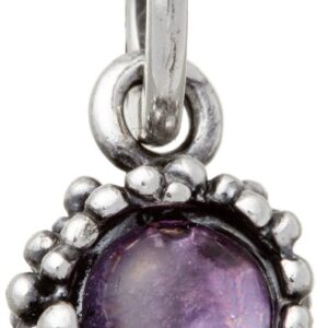 Charm Giovanni Raspini Charms in Argento Ametista 10859