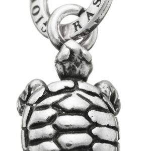 Charm Giovanni Raspini Charms in Argento 06565