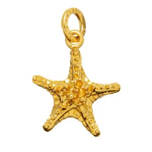 Charm Giovanni Raspini Donna in Argento 08564