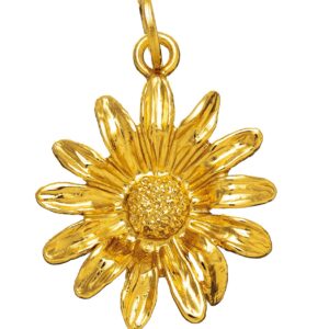 Charm Giovanni Raspini in Argento 08578