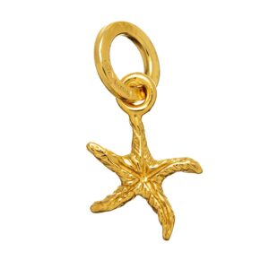 Charm Giovanni Raspini Donna in Argento 08565