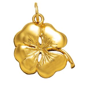 Charm Giovanni Raspini Donna in Argento 08580