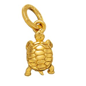 Charm Giovanni Raspini in Argento 08585