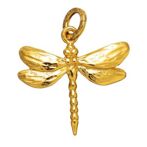 Charm Giovanni Raspini Donna in Argento 08575