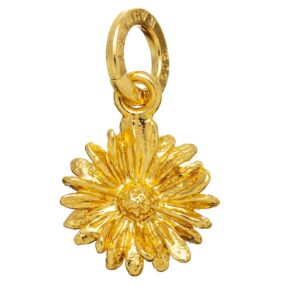 Charm Giovanni Raspini Donna in Argento 08579