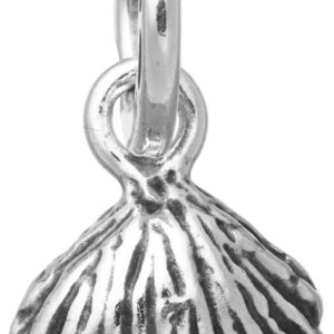 Charm Giovanni Raspini Charms in Argento 10905