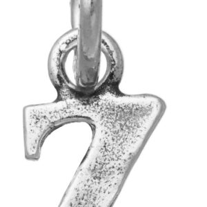 Charm Giovanni Raspini Charms in Argento 10901