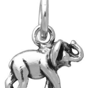 Charm Giovanni Raspini Charms in Argento 10934