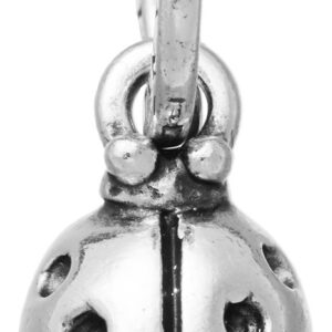 Charm Giovanni Raspini Donna Charms in Argento 10926