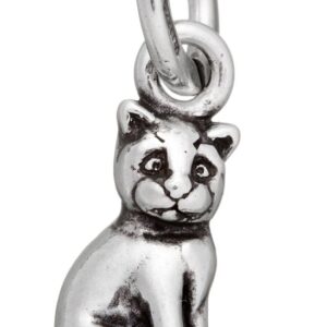 Charm Giovanni Raspini Charms in Argento 09650