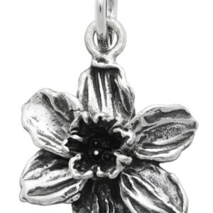 Charm Giovanni Raspini Donna Charms in Argento 07759