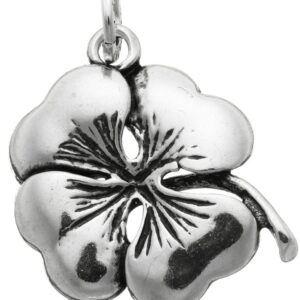 Charm Giovanni Raspini Charms in Argento 06010