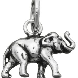 Charm Giovanni Raspini Charms in Argento 06006