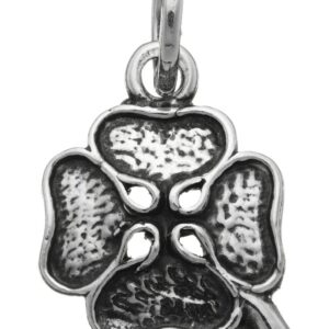 Charm Giovanni Raspini Donna Charms in Argento 06003