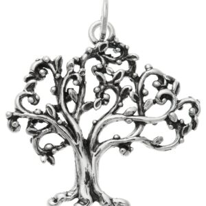 Charm Giovanni Raspini Charms in Argento 09911